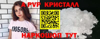 крисы Кингисепп
