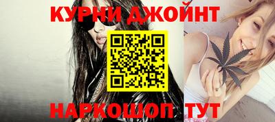 крисы Кингисепп