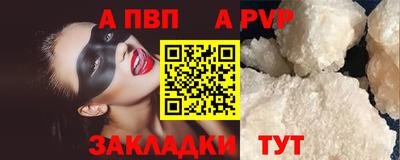 крисы Кингисепп
