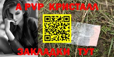 крисы Кингисепп
