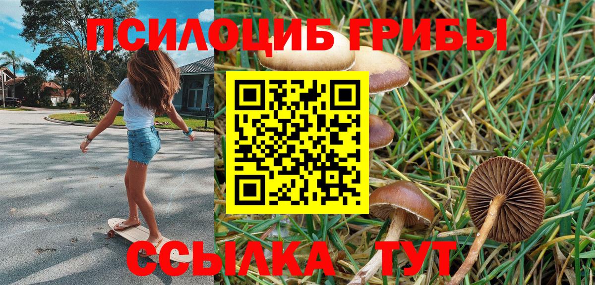 Кировск  Галлюциногенные грибы прущие грибы  Вход с VPN 