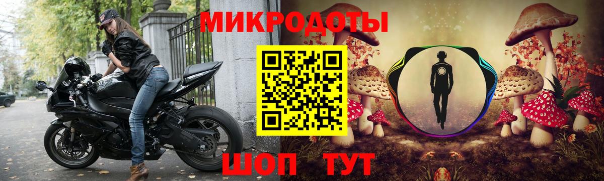 Псилоцибиновые грибы Psilocybine cubensis Кировск